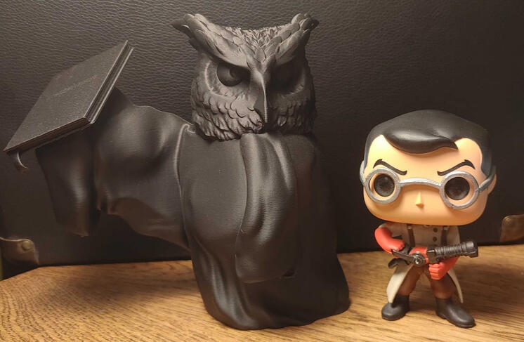 Court Owl 3D Printed